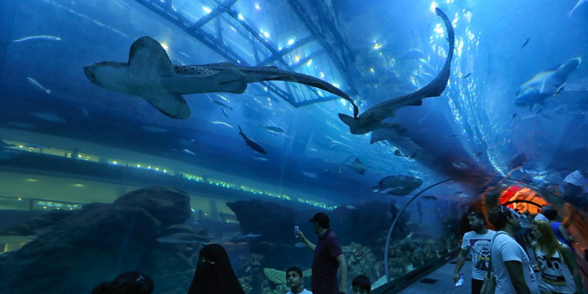Dubai aquarium &underwater zoo- all you need to know