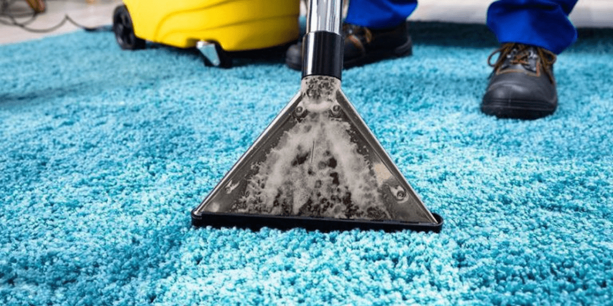 Protecting Your Investment: The Financial Benefits of Carpet Cleaning