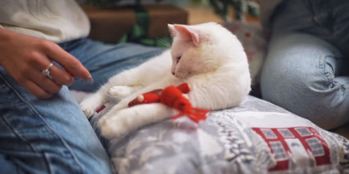 Feline Fanatics Rejoice: Unique Gifts for Cat Lovers Galore!