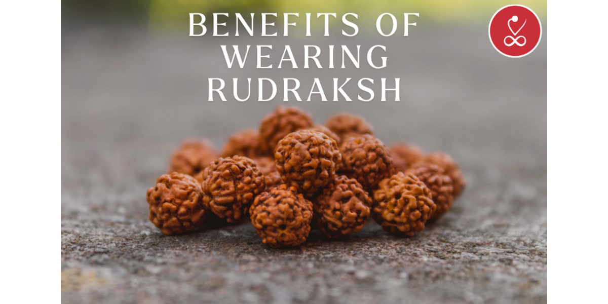 Benefits of Wearing Rudraksha: Unlocking the Power of Sacred Beads