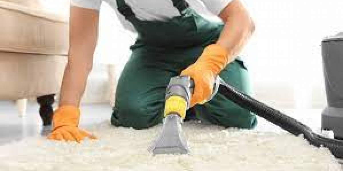 Allergen Defense: Carpet Cleaning as a Health Investment